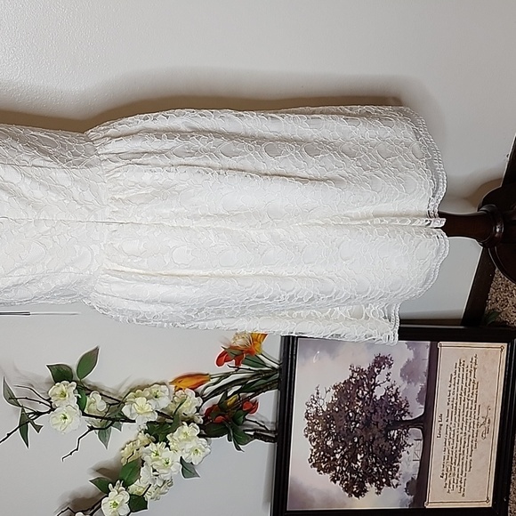 NEW Calvin Klein Ivory Lace Overlay Double Lining Dress Celeb Style Luxury Chic - Picture 8 of 16